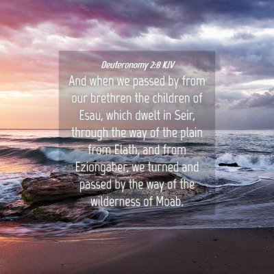 Picture 04 - Deuteronomy 2:8 KJV - And when we passed by from our brethren the - Bible Verse Picture