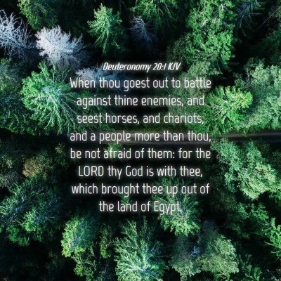 Picture 04 - Deuteronomy 20:1 KJV - When thou goest out to battle against thine - Bible Verse Picture