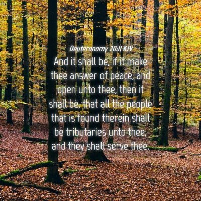 Picture 04 - Deuteronomy 20:11 KJV - And it shall be, if it make thee answer of peace, - Bible Verse Picture