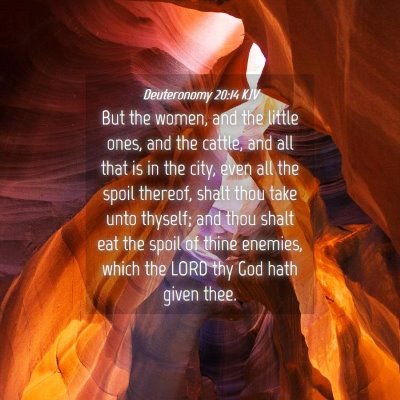 Picture 04 - Deuteronomy 20:14 KJV - But the women, and the little ones, and the - Bible Verse Picture