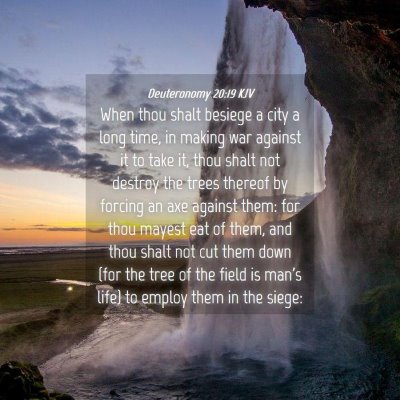 Picture 04 - Deuteronomy 20:19 KJV - When thou shalt besiege a city a long time, in - Bible Verse Picture