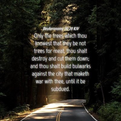 Picture 04 - Deuteronomy 20:20 KJV - Only the trees which thou knowest that they be - Bible Verse Picture