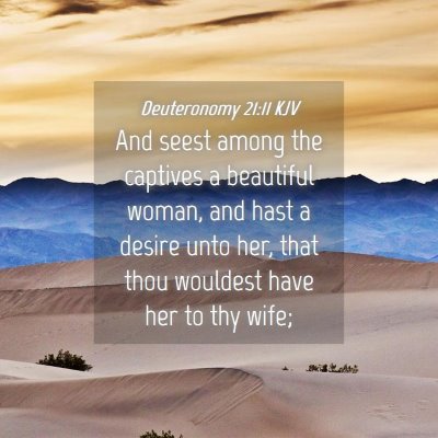 Picture 04 - Deuteronomy 21:11 KJV - And seest among the captives a beautiful woman, - Bible Verse Picture