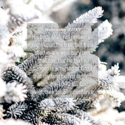 Picture 04 - Deuteronomy 21:23 KJV - His body shall not remain all night upon the - Bible Verse Picture