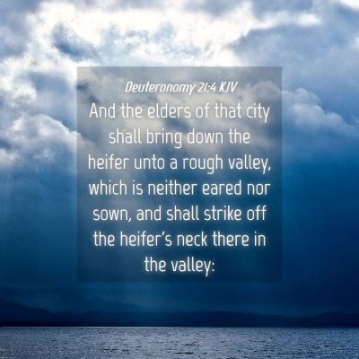 Picture 04 - Deuteronomy 21:4 KJV - And the elders of that city shall bring down the - Bible Verse Picture