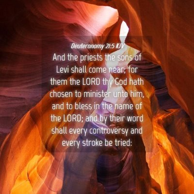 Picture 04 - Deuteronomy 21:5 KJV - And the priests the sons of Levi shall come near; - Bible Verse Picture