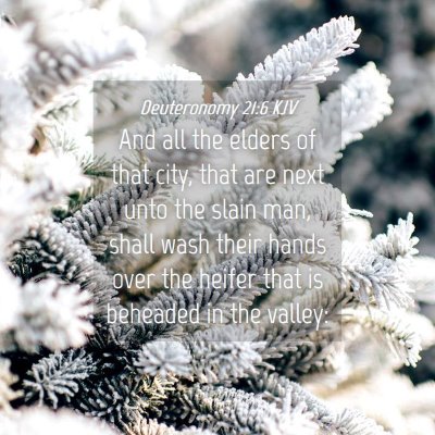 Picture 04 - Deuteronomy 21:6 KJV - And all the elders of that city, that are next - Bible Verse Picture
