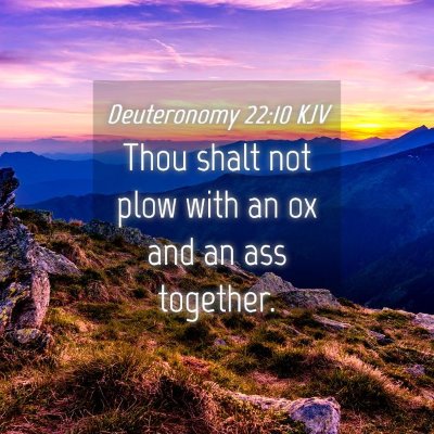 Picture 04 - Deuteronomy 22:10 KJV - Thou shalt not plow with an ox and an ass - Bible Verse Picture