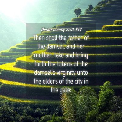 Picture 04 - Deuteronomy 22:15 KJV - Then shall the father of the damsel, and her - Bible Verse Picture