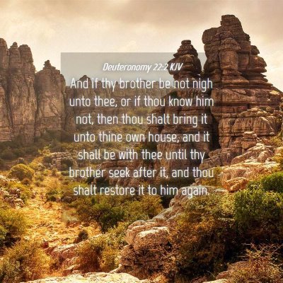 Picture 04 - Deuteronomy 22:2 KJV - And if thy brother be not nigh unto thee, or if - Bible Verse Picture