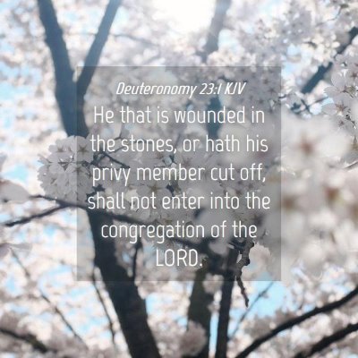 Picture 04 - Deuteronomy 23:1 KJV - He that is wounded in the stones, or hath his - Bible Verse Picture