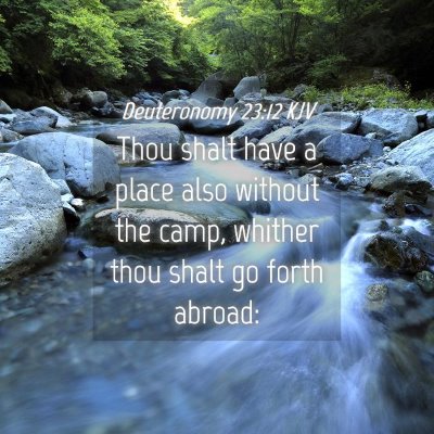 Picture 04 - Deuteronomy 23:12 KJV - Thou shalt have a place also without the camp, - Bible Verse Picture