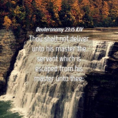 Picture 04 - Deuteronomy 23:15 KJV - Thou shalt not deliver unto his master the - Bible Verse Picture