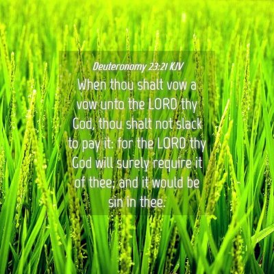 Picture 04 - Deuteronomy 23:21 KJV - When thou shalt vow a vow unto the LORD thy God, - Bible Verse Picture