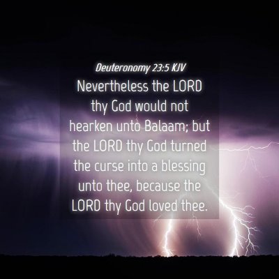 Picture 04 - Deuteronomy 23:5 KJV - Nevertheless the LORD thy God would not hearken - Bible Verse Picture