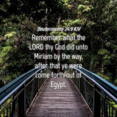 Picture 04 - Deuteronomy 24:9 KJV - Remember what the LORD thy God did unto Miriam by - Bible Verse Picture