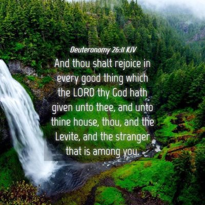 Picture 04 - Deuteronomy 26:11 KJV - And thou shalt rejoice in every good thing which - Bible Verse Picture