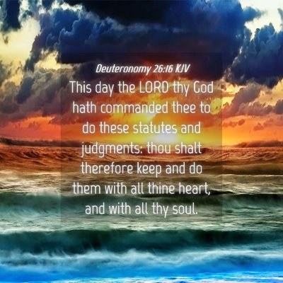 Picture 04 - Deuteronomy 26:16 KJV - This day the LORD thy God hath commanded thee to - Bible Verse Picture