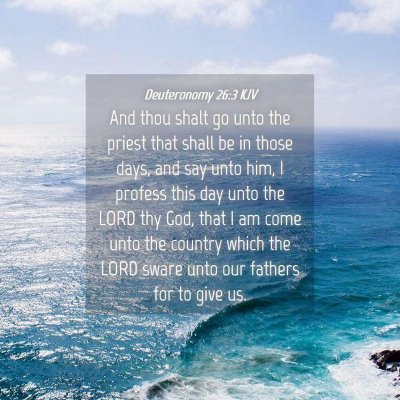 Picture 04 - Deuteronomy 26:3 KJV - And thou shalt go unto the priest that shall be - Bible Verse Picture