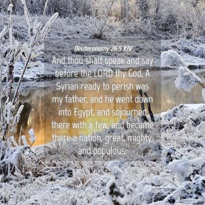 Picture 04 - Deuteronomy 26:5 KJV - And thou shalt speak and say before the LORD thy - Bible Verse Picture
