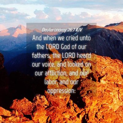 Picture 04 - Deuteronomy 26:7 KJV - And when we cried unto the LORD God of our - Bible Verse Picture