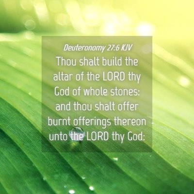 Picture 04 - Deuteronomy 27:6 KJV - Thou shalt build the altar of the LORD thy God of - Bible Verse Picture