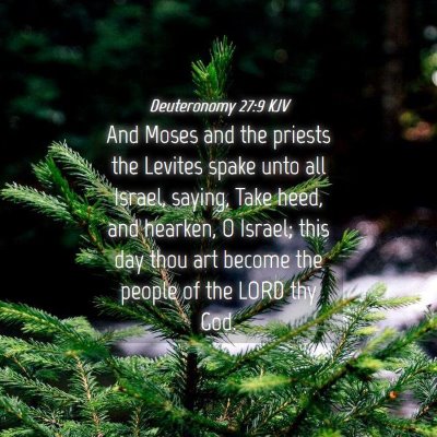 Picture 04 - Deuteronomy 27:9 KJV - And Moses and the priests the Levites spake unto - Bible Verse Picture