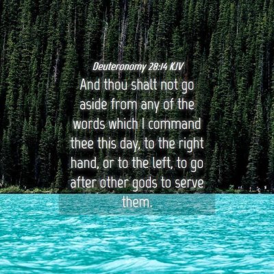 Picture 04 - Deuteronomy 28:14 KJV - And thou shalt not go aside from any of the words - Bible Verse Picture