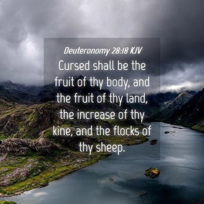 Picture 04 - Deuteronomy 28:18 KJV - Cursed shall be the fruit of thy body, and the - Bible Verse Picture
