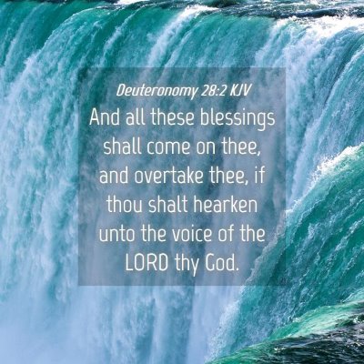 Picture 04 - Deuteronomy 28:2 KJV - And all these blessings shall come on thee, and - Bible Verse Picture