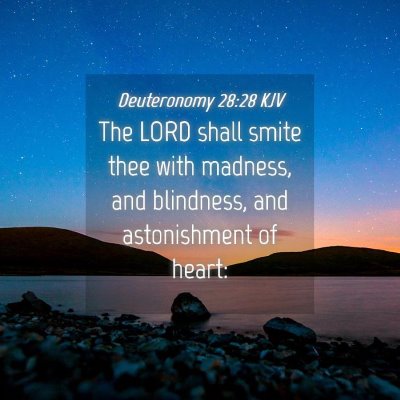Picture 04 - Deuteronomy 28:28 KJV - The LORD shall smite thee with madness, and - Bible Verse Picture