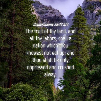 Picture 04 - Deuteronomy 28:33 KJV - The fruit of thy land, and all thy labors, shall - Bible Verse Picture
