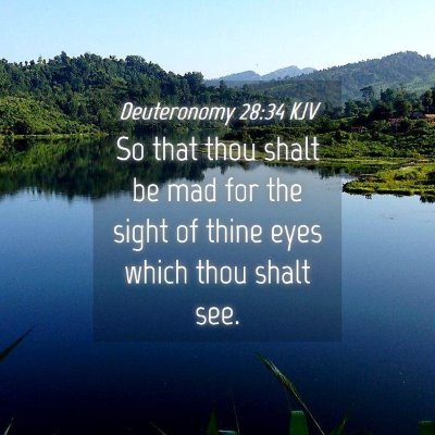 Picture 04 - Deuteronomy 28:34 KJV - So that thou shalt be mad for the sight of thine - Bible Verse Picture
