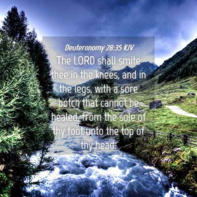 Picture 04 - Deuteronomy 28:35 KJV - The LORD shall smite thee in the knees, and in - Bible Verse Picture