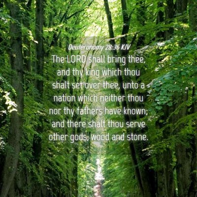 Picture 04 - Deuteronomy 28:36 KJV - The LORD shall bring thee, and thy king which - Bible Verse Picture