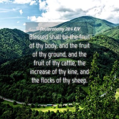 Picture 04 - Deuteronomy 28:4 KJV - Blessed shall be the fruit of thy body, and the - Bible Verse Picture