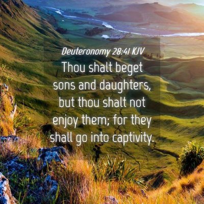 Picture 04 - Deuteronomy 28:41 KJV - Thou shalt beget sons and daughters, but thou - Bible Verse Picture