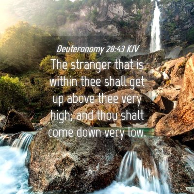 Picture 04 - Deuteronomy 28:43 KJV - The stranger that is within thee shall get up - Bible Verse Picture