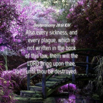 Picture 04 - Deuteronomy 28:61 KJV - Also every sickness, and every plague, which is - Bible Verse Picture