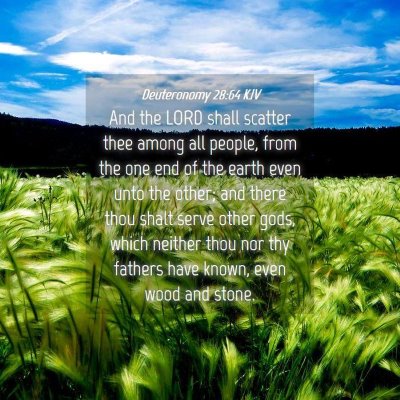 Picture 04 - Deuteronomy 28:64 KJV - And the LORD shall scatter thee among all people, - Bible Verse Picture