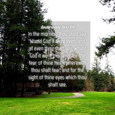 Picture 04 - Deuteronomy 28:67 KJV - In the morning thou shalt say, Would God it were - Bible Verse Picture