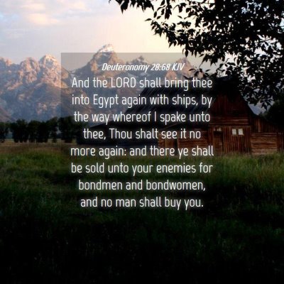 Picture 04 - Deuteronomy 28:68 KJV - And the LORD shall bring thee into Egypt again - Bible Verse Picture