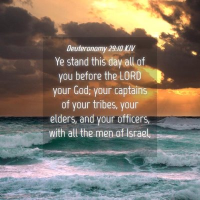Picture 04 - Deuteronomy 29:10 KJV - Ye stand this day all of you before the LORD your - Bible Verse Picture