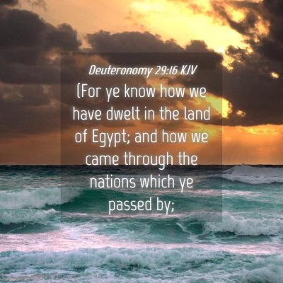 Picture 04 - Deuteronomy 29:16 KJV - (For ye know how we have dwelt in the land of - Bible Verse Picture