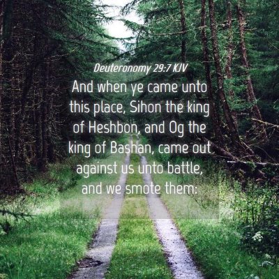 Picture 04 - Deuteronomy 29:7 KJV - And when ye came unto this place, Sihon the king - Bible Verse Picture