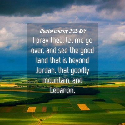 Picture 04 - Deuteronomy 3:25 KJV - I pray thee, let me go over, and see the good - Bible Verse Picture