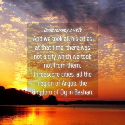 Picture 04 - Deuteronomy 3:4 KJV - And we took all his cities at that time, there - Bible Verse Picture