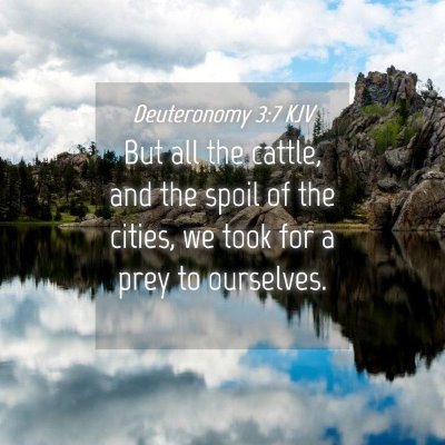 Picture 04 - Deuteronomy 3:7 KJV - But all the cattle, and the spoil of the cities, - Bible Verse Picture