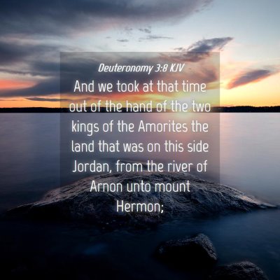 Picture 04 - Deuteronomy 3:8 KJV - And we took at that time out of the hand of the - Bible Verse Picture