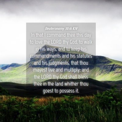 Picture 04 - Deuteronomy 30:16 KJV - In that I command thee this day to love the LORD - Bible Verse Picture